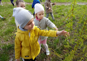 Dzieci dotykają gałęzi wierzby